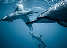 kaiyun app-浙江通报4起整治形式主义为基层减负典型问题